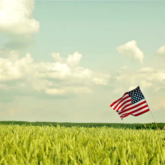 CITYBOYZ★USA is ha