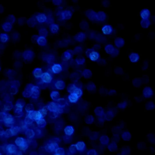 2Eros Aether Jock<br