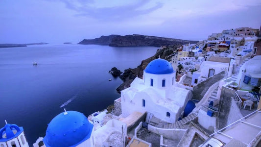 New 2eros Bondi Shor