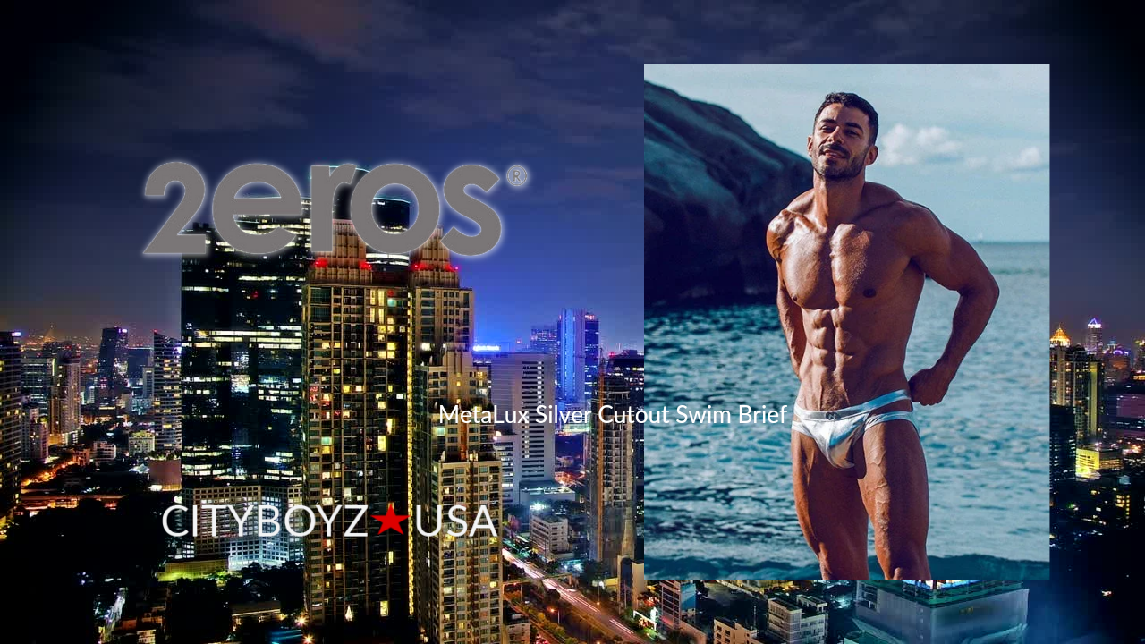 New 2Eros Metalux Swim Briefs