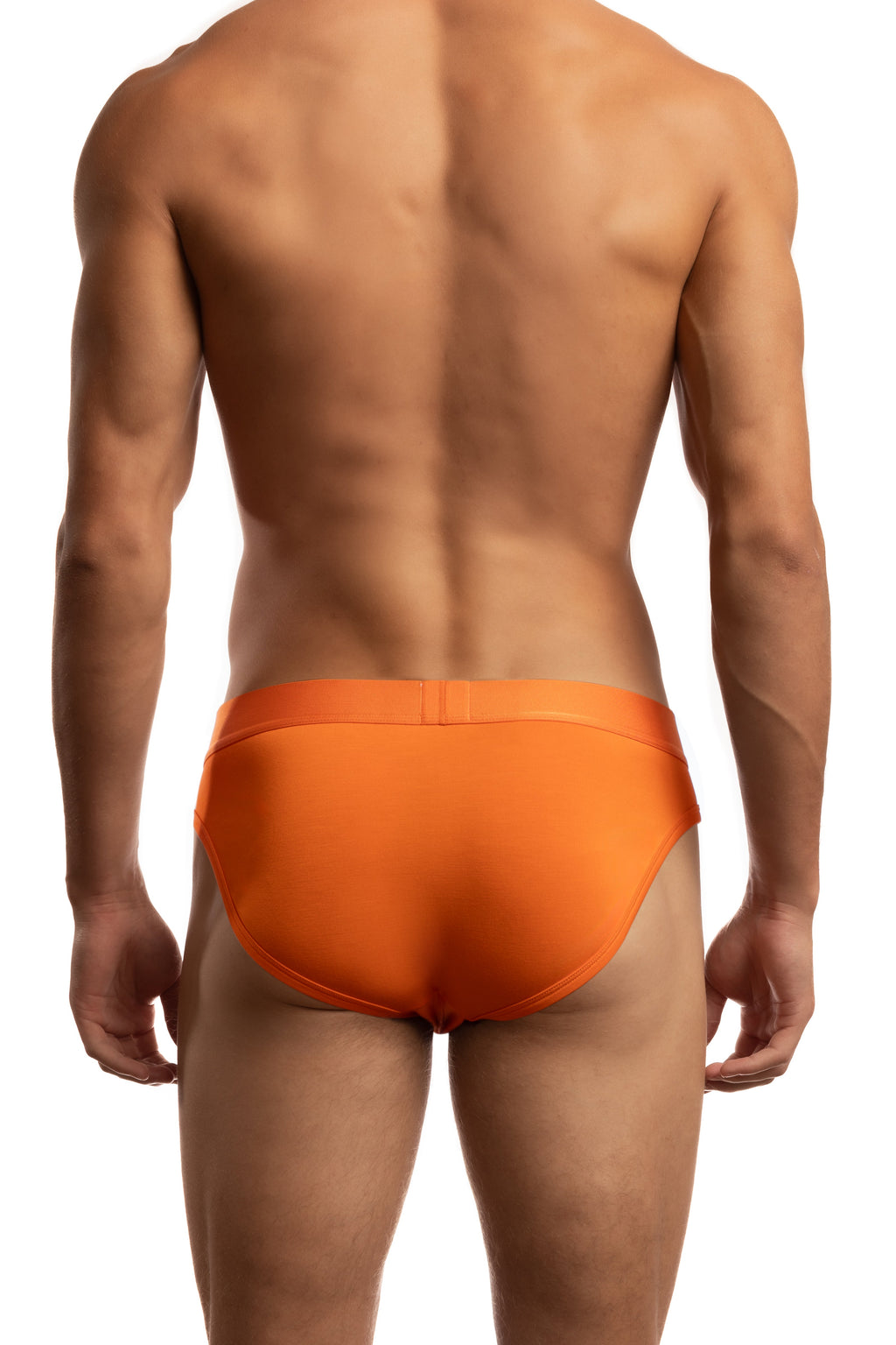 Bamboo Brief