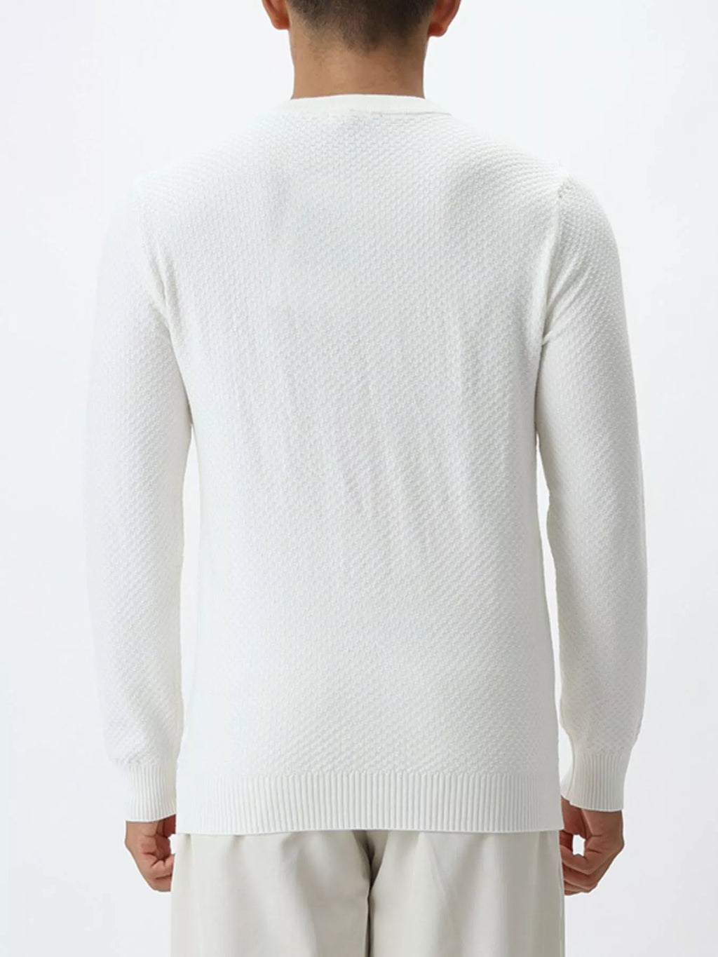 Plus size men's textured crew neck sweater by Trendsi, shown in a cozy knit fabric, perfect for casual wear.