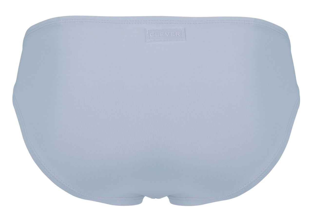 Clever Raices Brief 2005