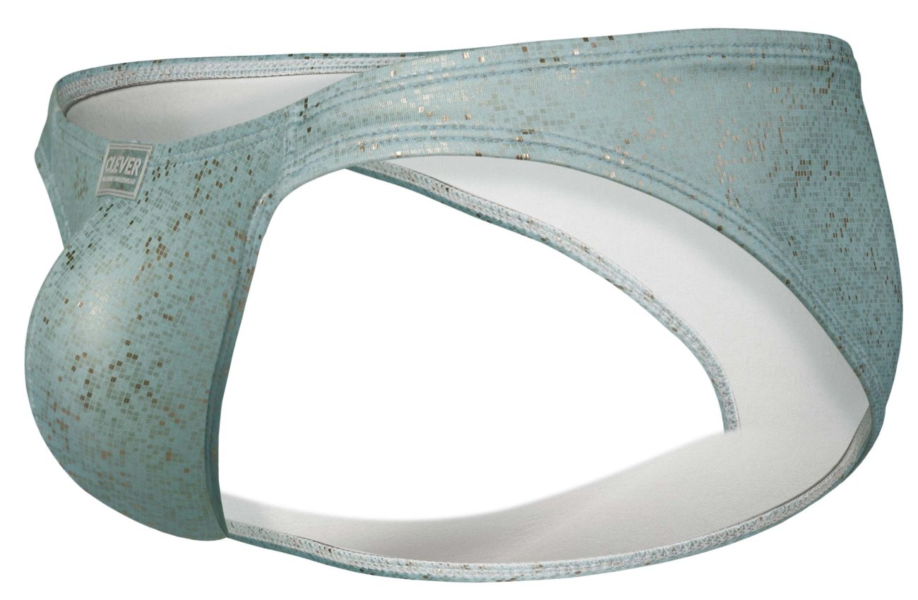 Clever Galaxy Brief 2039