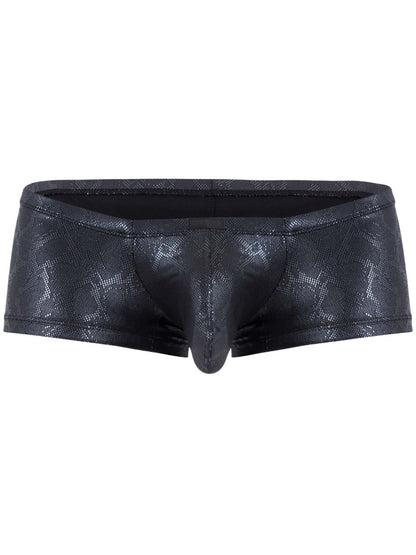Clever Atlas Trunk
