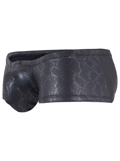 Clever Atlas Trunk