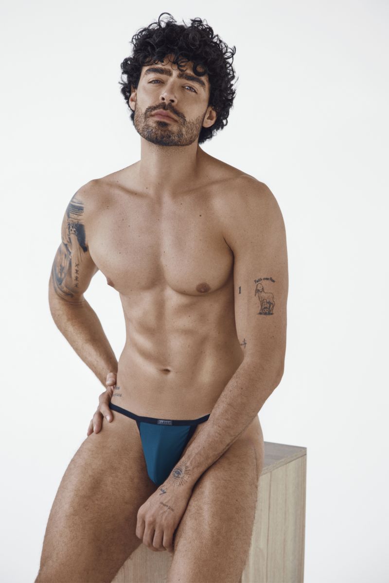 Clever Boreas Brief