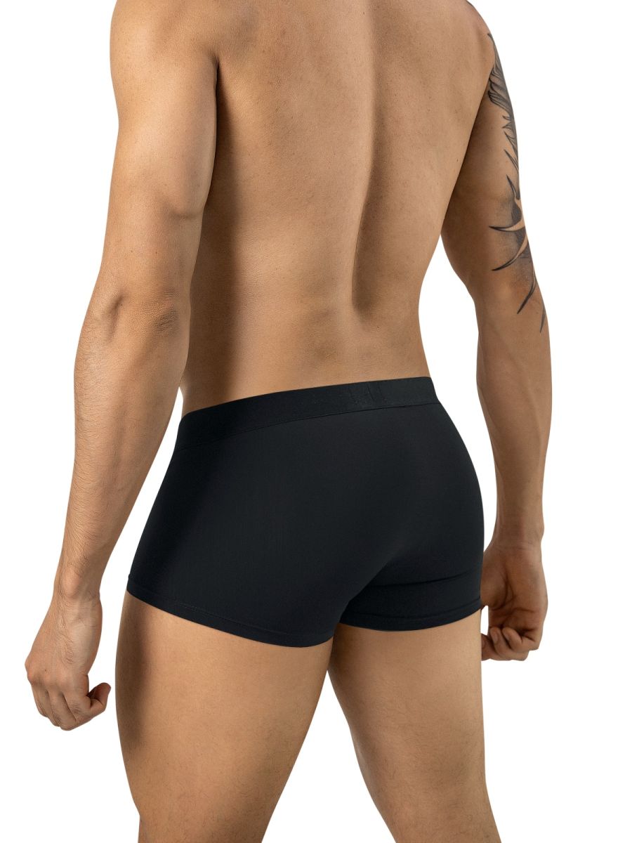 Clever Mompox Trunk