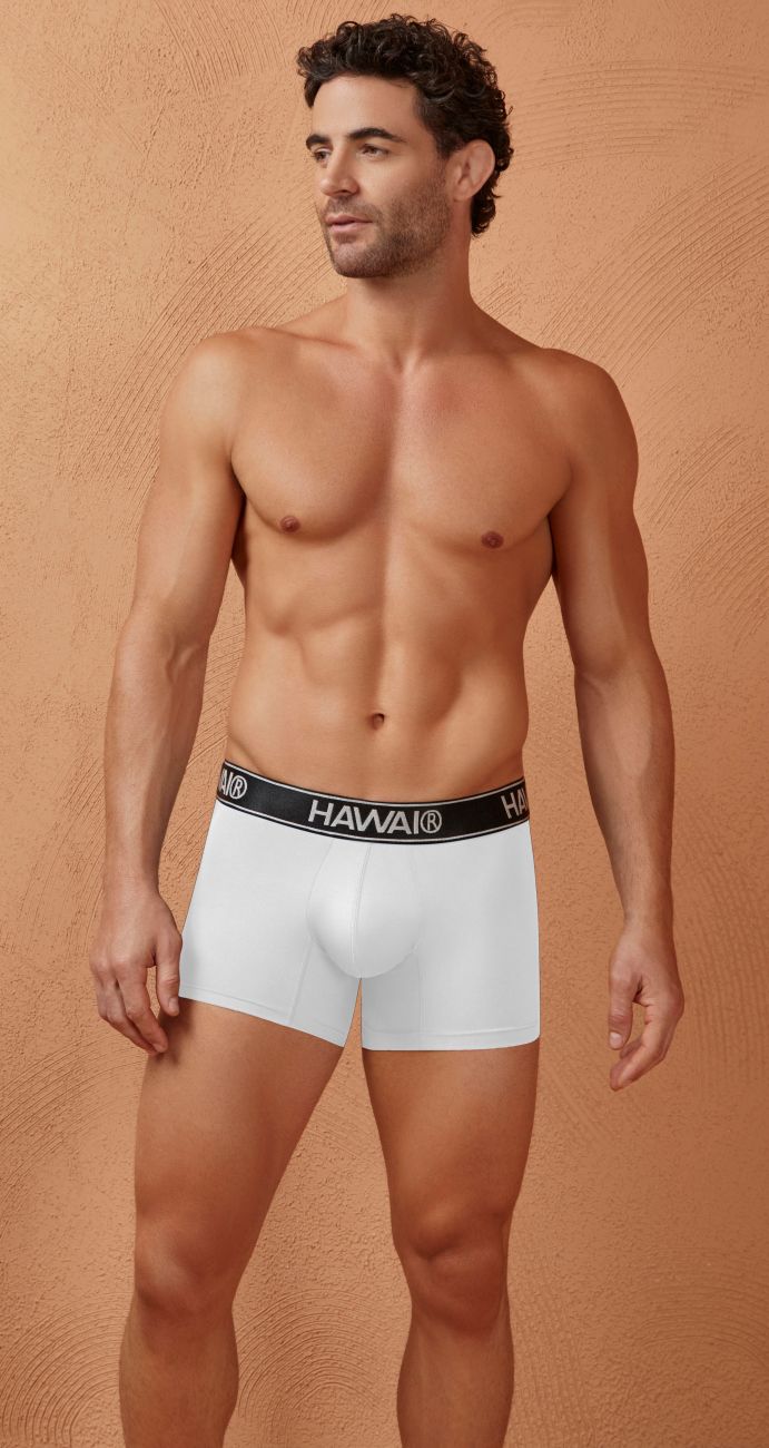White Hawai Microfiber Boxer Briefs for men from CITYBOYZ★USA, showcasing a comfortable fit and smooth microfiber fabric.