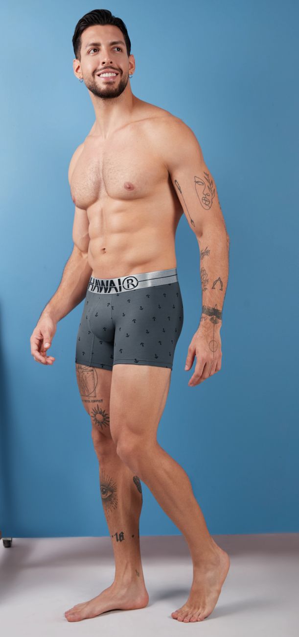 Gray Hawai Cotton Blend Boxer Brief from CITYBOYZ★USA, featuring comfortable waistband and soft fabric for everyday wear.