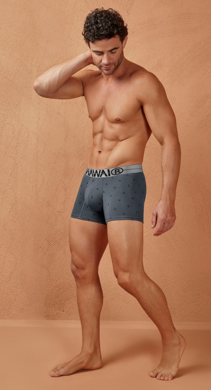 Gray Hawai Cotton Blend Boxer Brief from CITYBOYZ★USA, featuring a comfortable fit and breathable fabric.