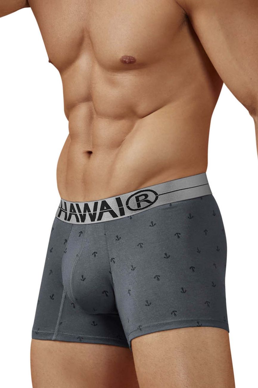 Gray Hawai Cotton Blend Boxer Brief by CITYBOYZ USA, featuring comfortable fit and breathable fabric.