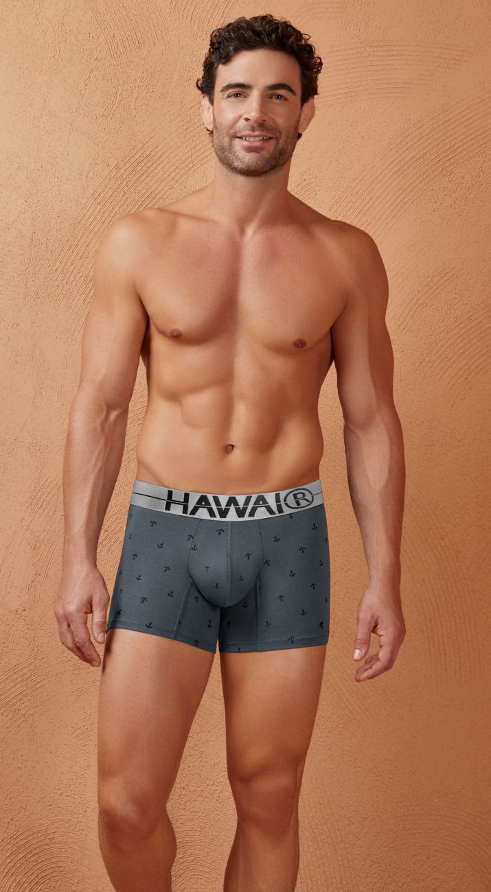 Gray Hawai Cotton Blend Boxer Briefs by CITYBOYZ★USA, featuring comfortable waistband and soft fabric for everyday wear.