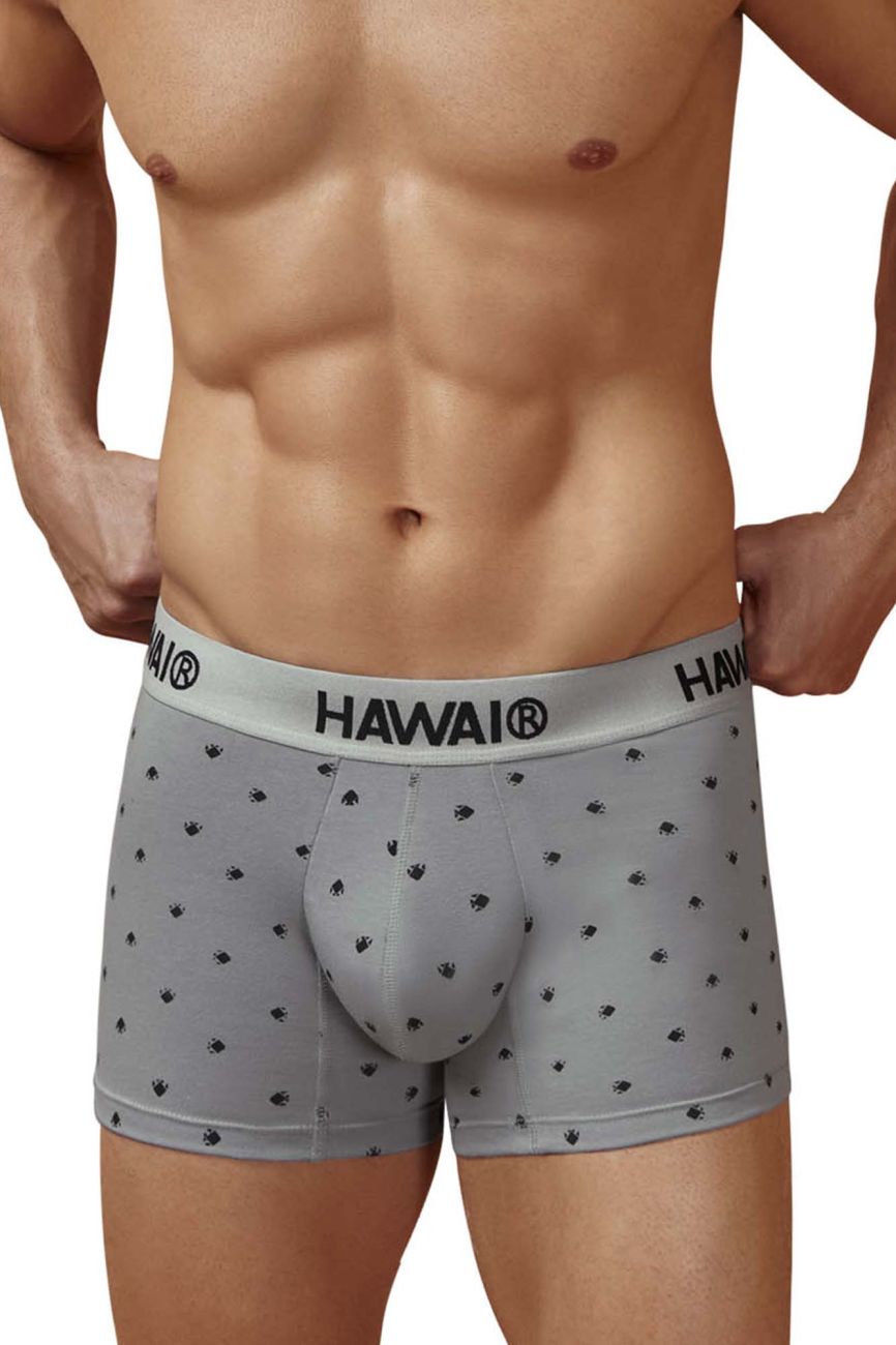 Gray Hawai Cotton Blend Trunk from CITYBOYZ★USA, showcasing comfortable waistband and soft fabric detail.