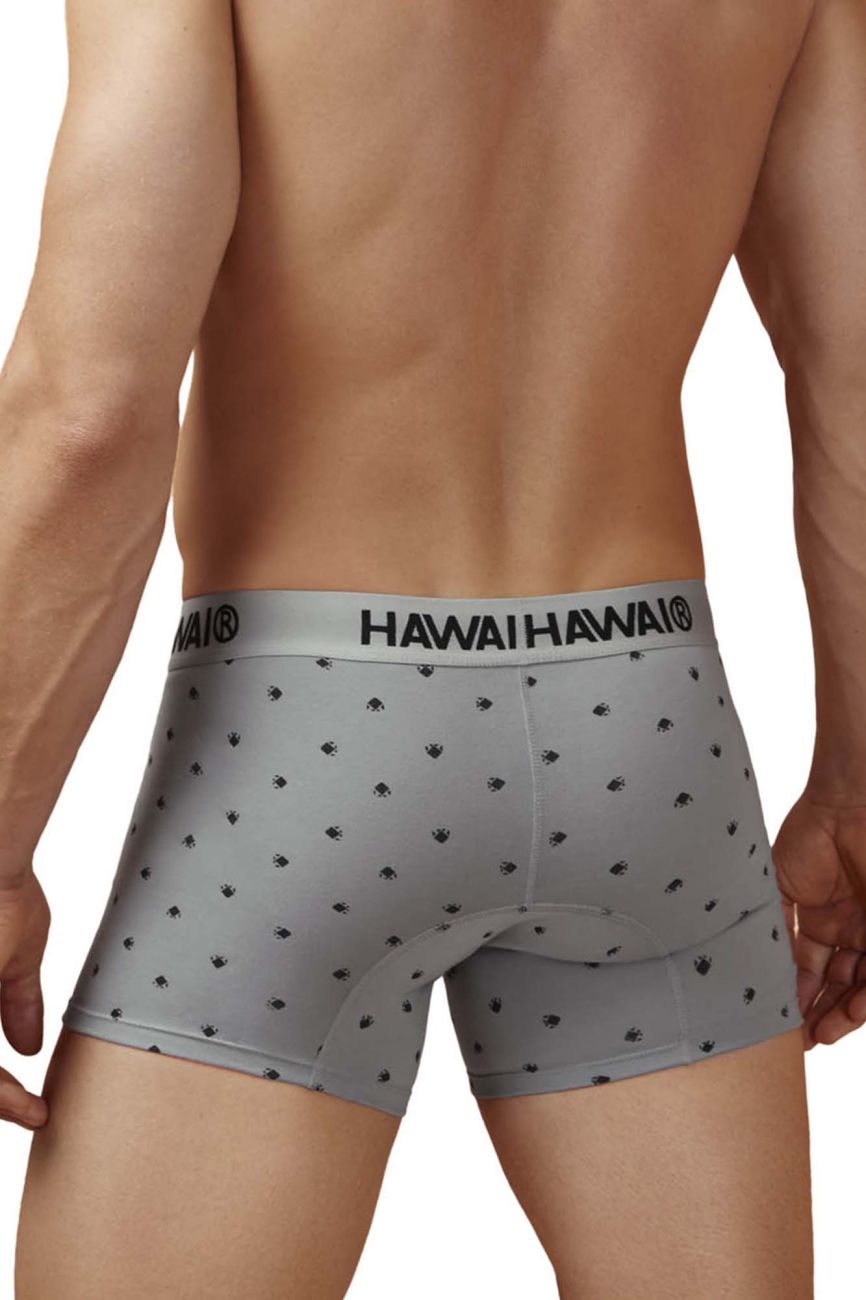 Gray Hawai Cotton Blend Trunks by CITYBOYZ★USA, featuring comfortable waistband and sleek design.