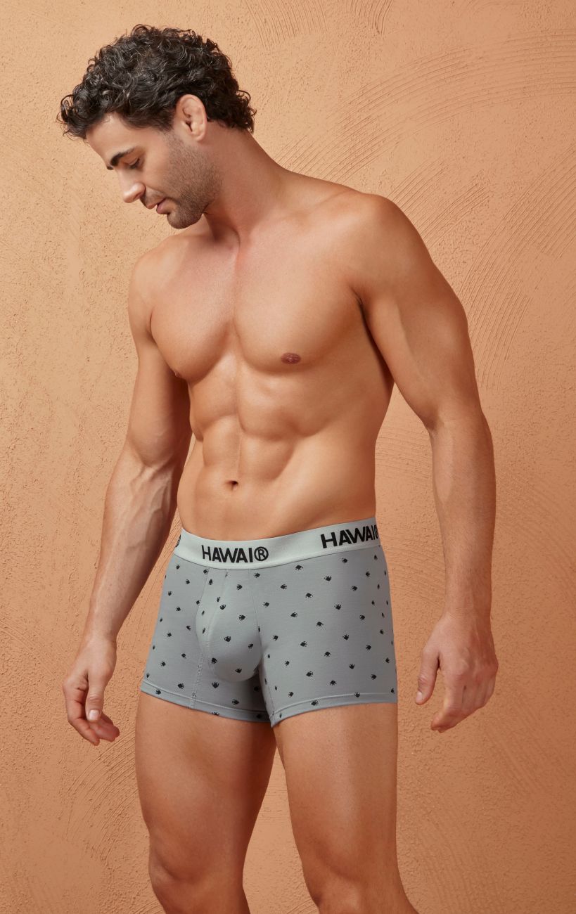 Gray Hawai Cotton Blend Trunk by CITYBOYZ★USA, featuring comfortable fit and durable fabric, shown on a model.