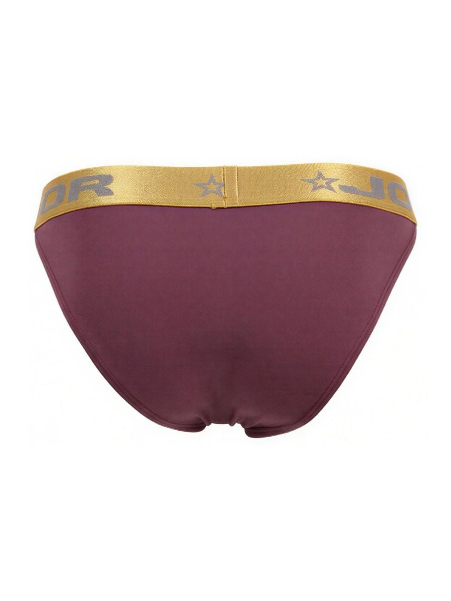CITYBOYZ USA Jor Soho Bikini trunk in wine, stylish men's swimwear with comfortable fit and modern design.