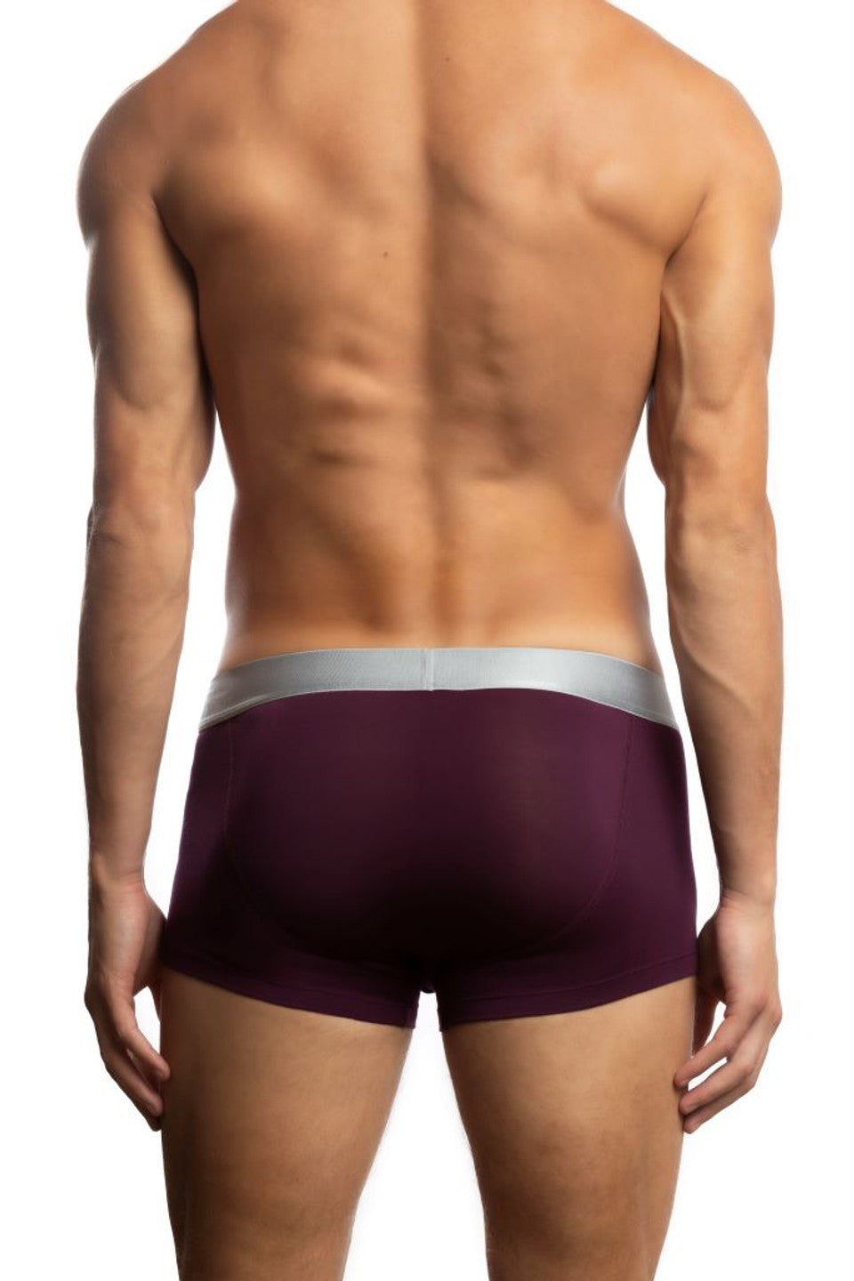 Jack Adams Zen Modal Trunk underwear by CITYBOYZ USA, in Italian Plum color, with back web design and comfortable fit.