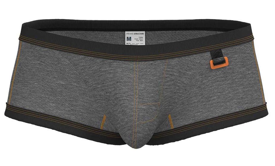 CityBOYZ USA Private Structure Barn Boy low rise trunk underwear in stone gray, with a close-up view of the fabric and fit.