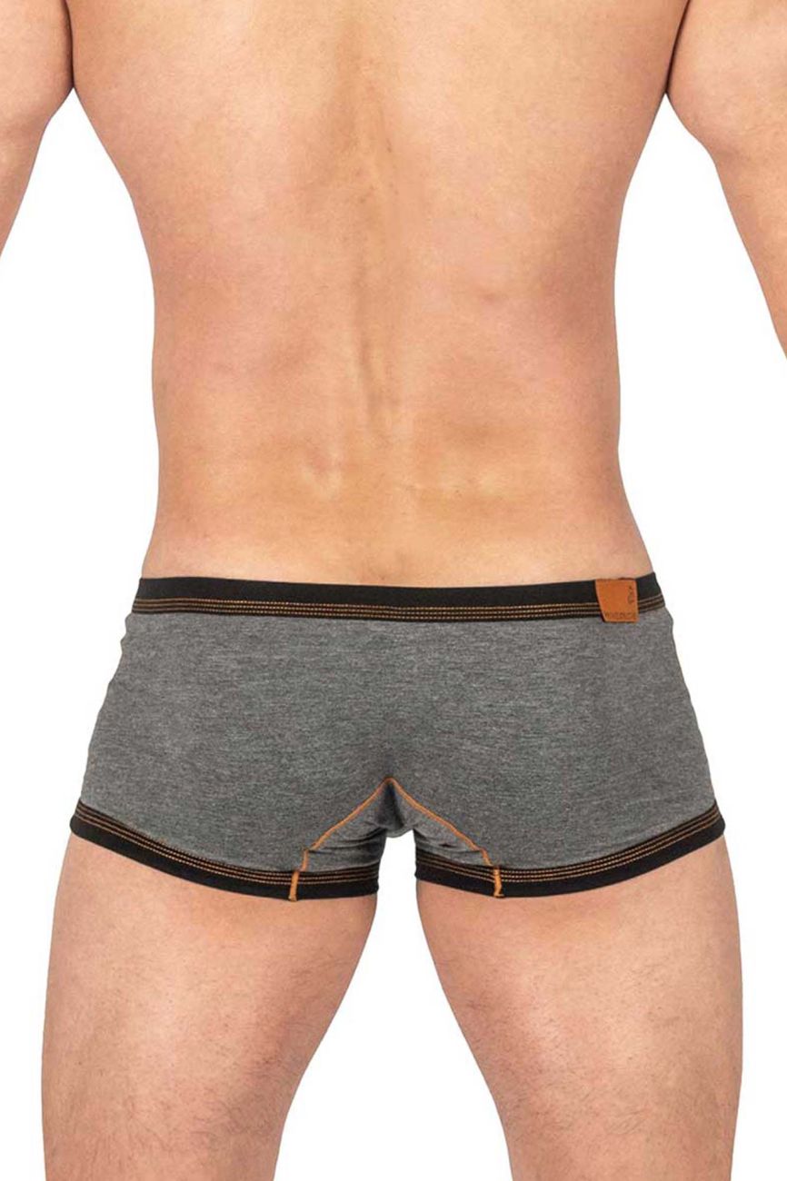 CityBOYZ USA Private Structure Barn Boy low rise trunk underwear in stone gray, featuring a snug fit and comfortable waistband.