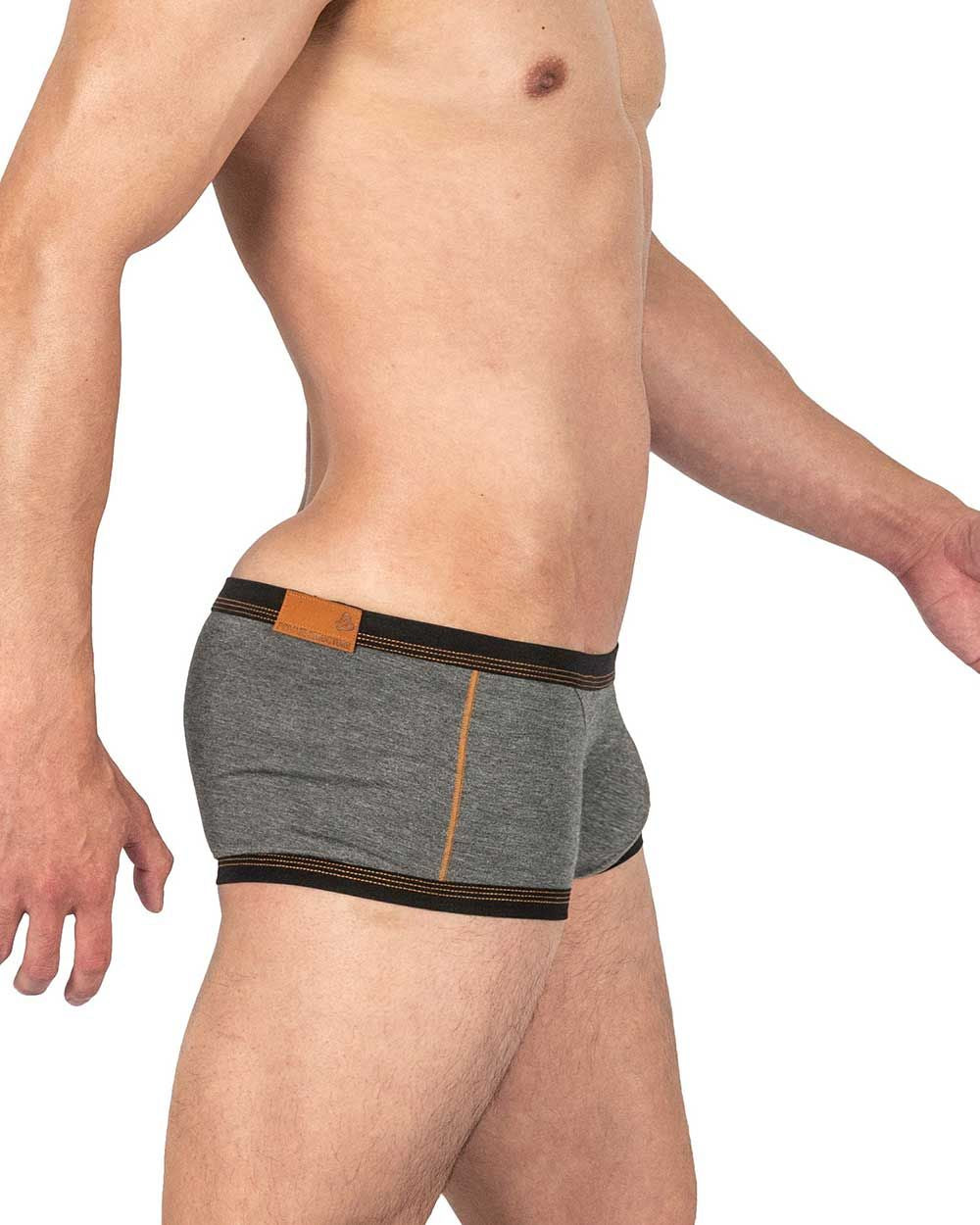 CityBOYZ USA Private Structure Barn Boy low rise trunk underwear in stone gray, featuring a comfortable fit and modern design.