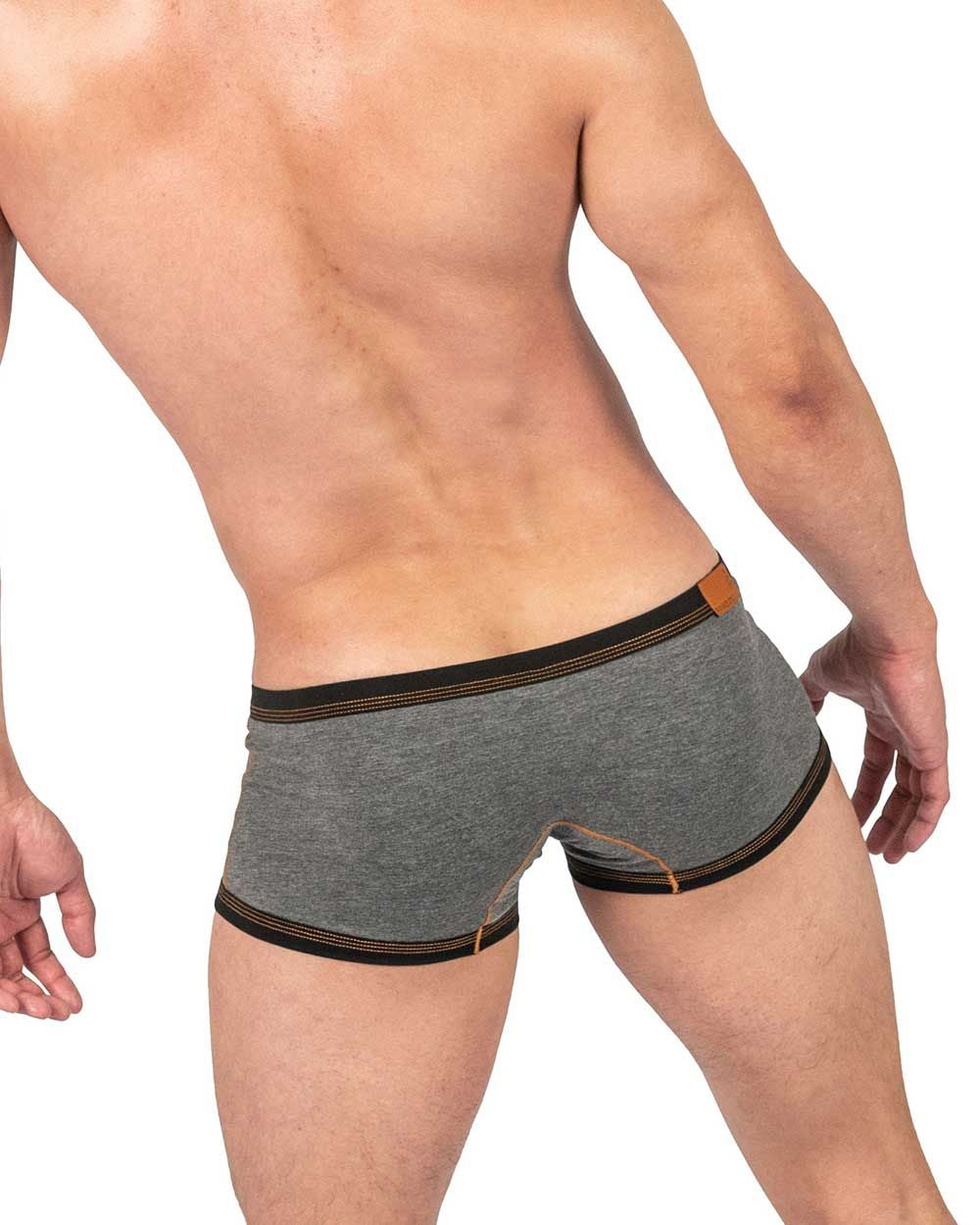 Private Structure Barn Boy low rise trunk underwear in stone gray by CITYBOYZ★USA, shown on a model.