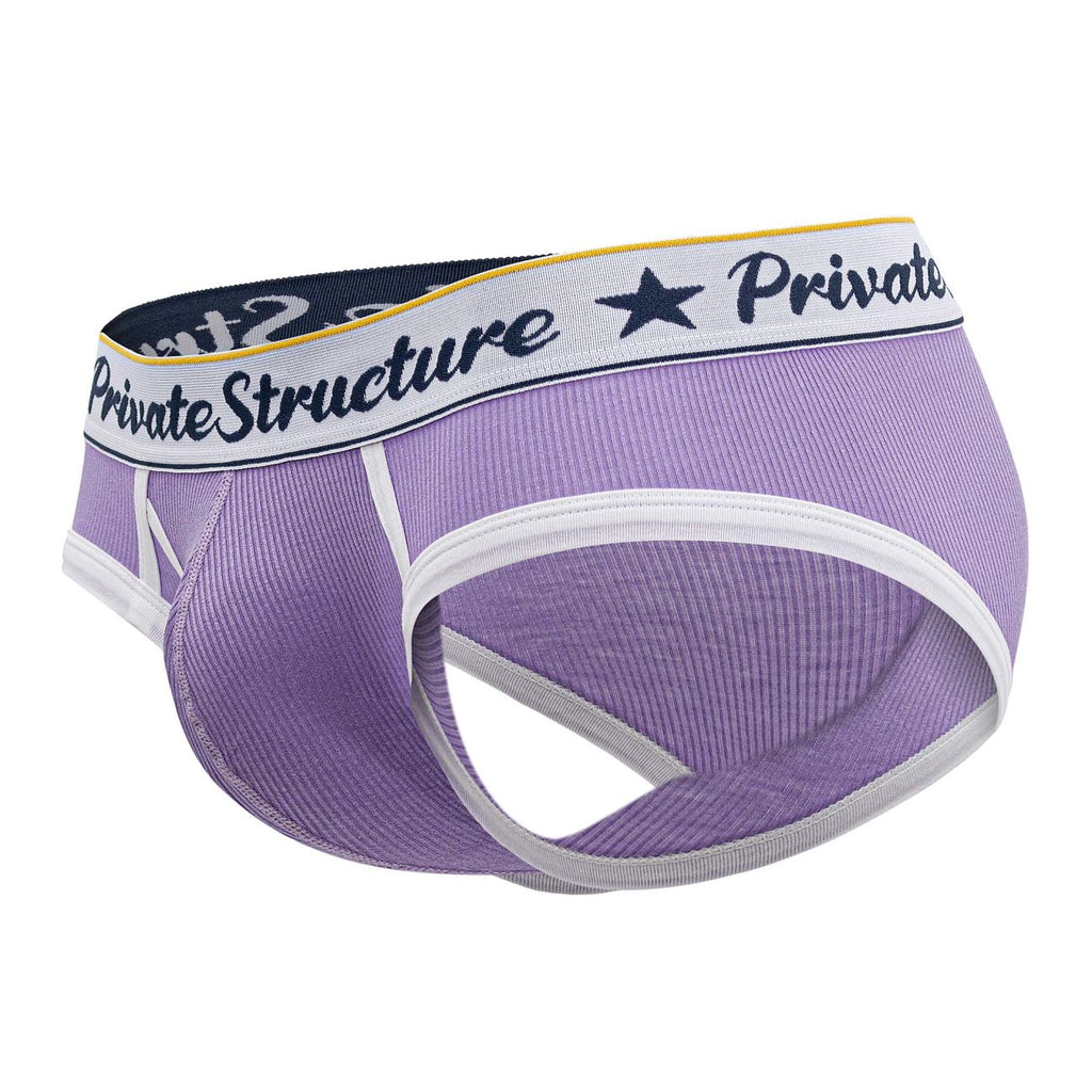 Purple Private Structure Classic Mid Waist Mini Brief underwear by CITYBOYZ★USA, shown on a plain background.