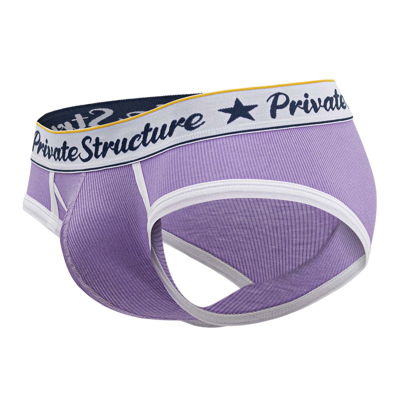 Purple Private Structure Classic Mid Waist Mini Brief underwear by CITYBOYZ★USA, shown on a plain background.