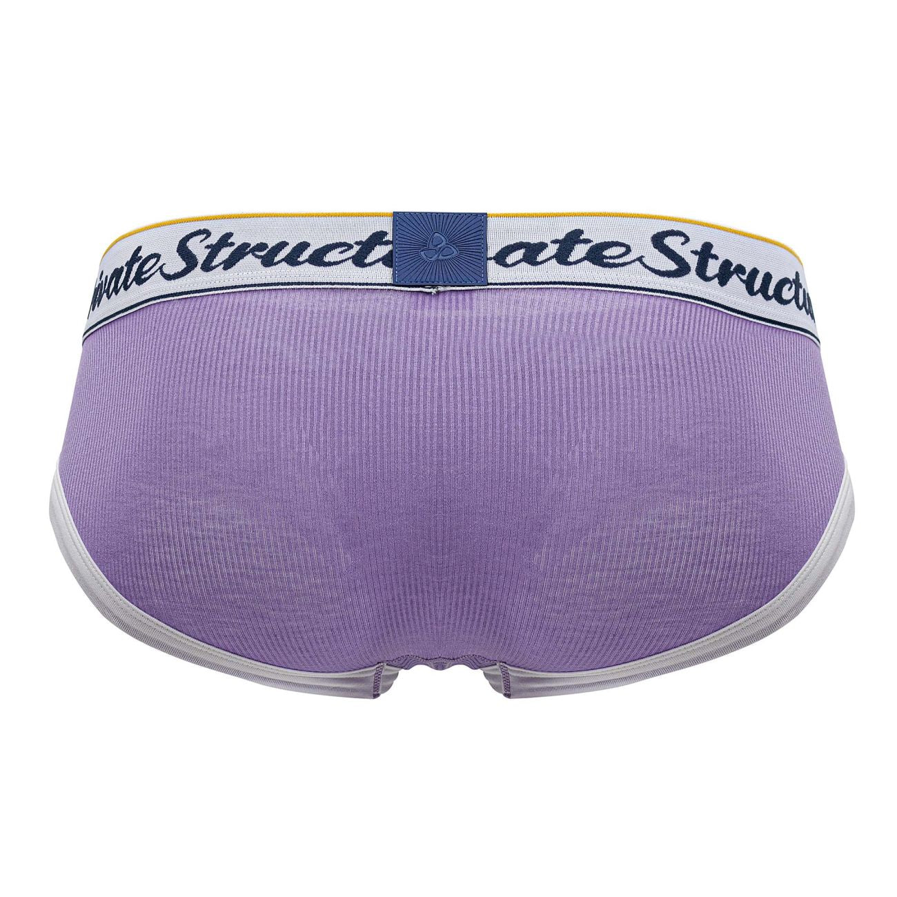 Purple Private Structure Classic Mid Waist Mini Brief underwear by CITYBOYZ★USA, showing soft fabric and comfortable fit.