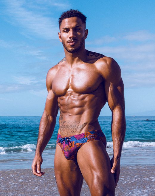 CityBOYZ USA 2Eros Stallion Print swim brief featuring bold stallion design, form-fitting swimwear for men.