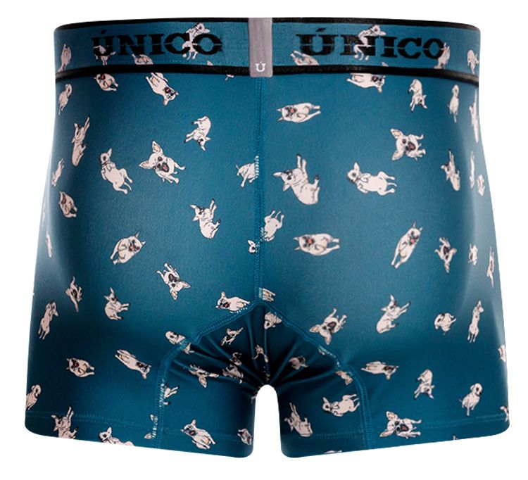 Unico Chihuahua Trunk Trunks- CITYBOYZ★USA