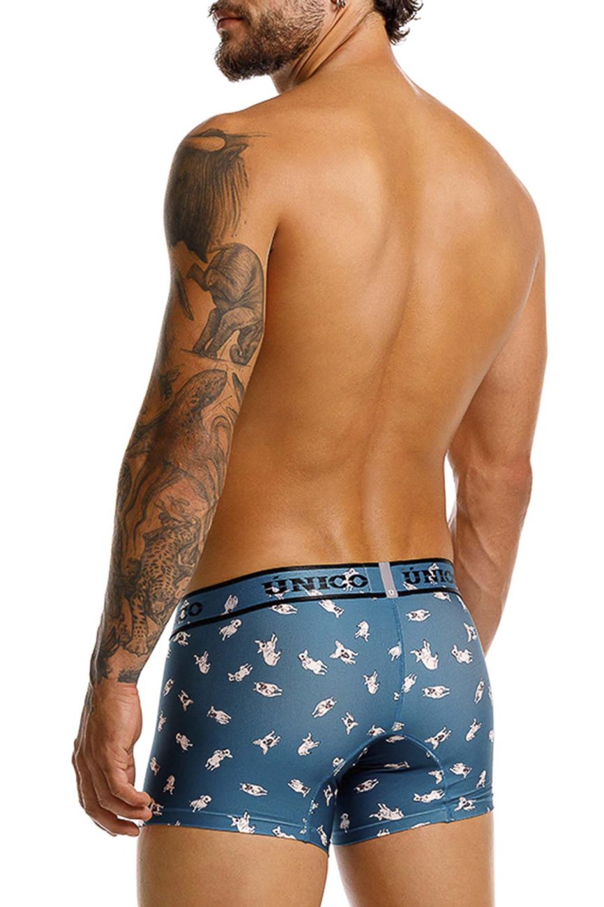 Unico Chihuahua Trunk Trunks- CITYBOYZ★USA