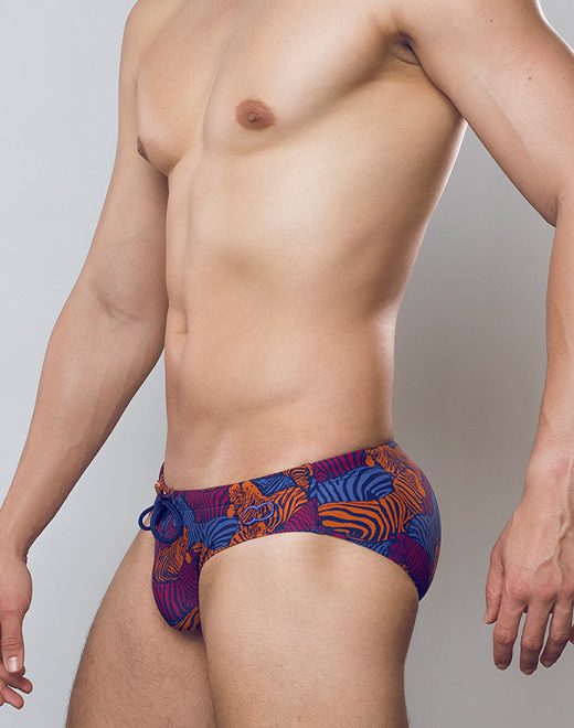 CityBOYZ USA 2Eros Stallion Print swim brief V10, featuring bold stallion print fabric and comfortable fit for swimwear.