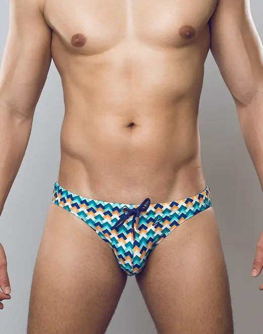 CITYBOYZ★USA 2Eros Chevy print swim brief V20 featuring a vibrant, stylish swimwear design with Chevy-themed graphics.