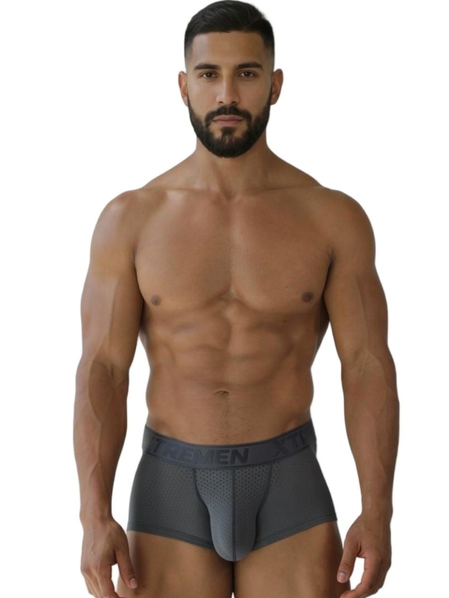 Gray Xtremen microfiber mesh trunk by CITYBOYZ USA, featuring breathable fabric and snug fit, shown on a model.