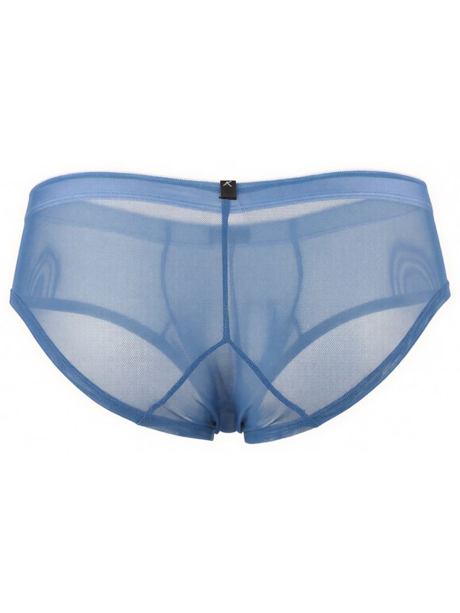 Blue Xtremen microfiber mesh brief by CITYBOYZ★USA with breathable mesh fabric and snug fit, shown on a model.