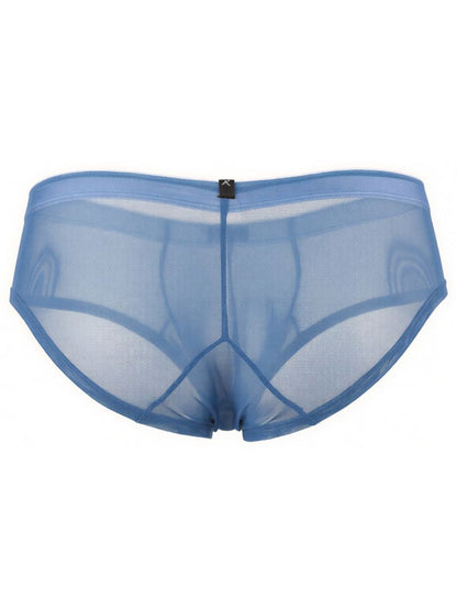 Blue Xtremen microfiber mesh brief by CITYBOYZ★USA with breathable mesh fabric and snug fit, shown on a model.
