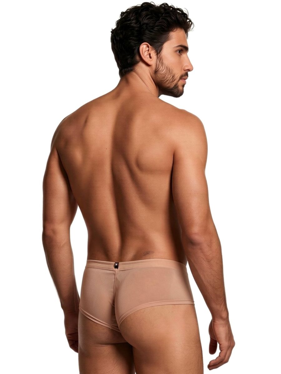 Brown Xtremen microfiber mesh briefs by CITYBOYZ★USA, showing the lightweight, breathable fabric and snug fit design.