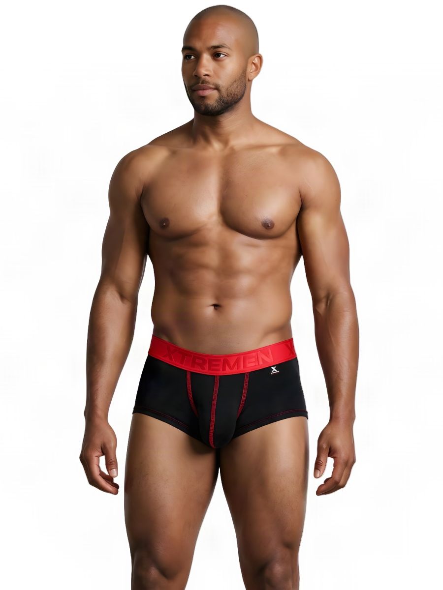 Xtremen Microfiber Brief 91273