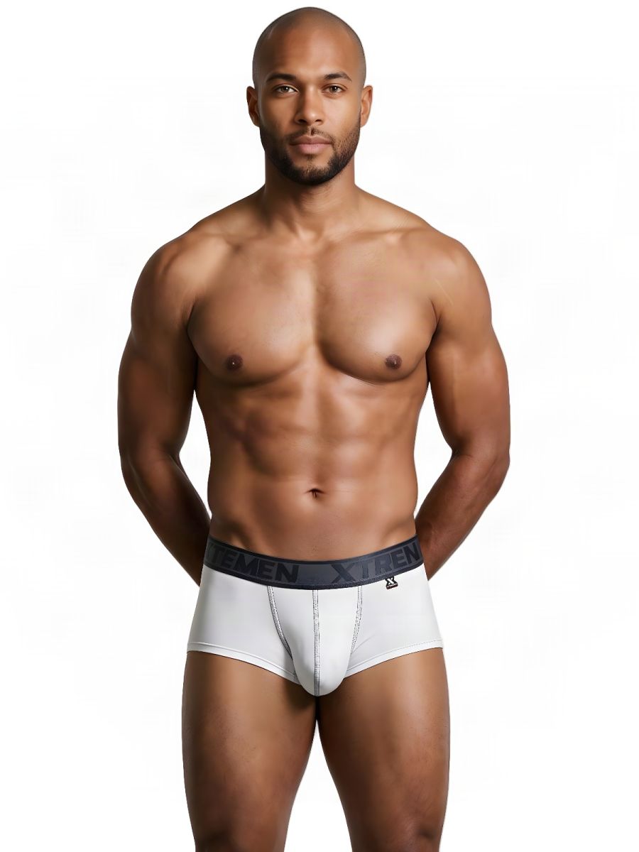 Xtremen Microfiber Brief 91273