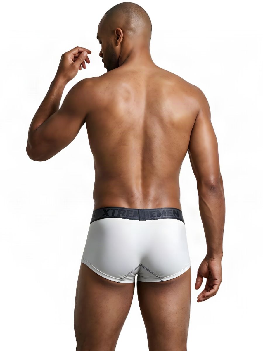 Xtremen Microfiber Brief 91273