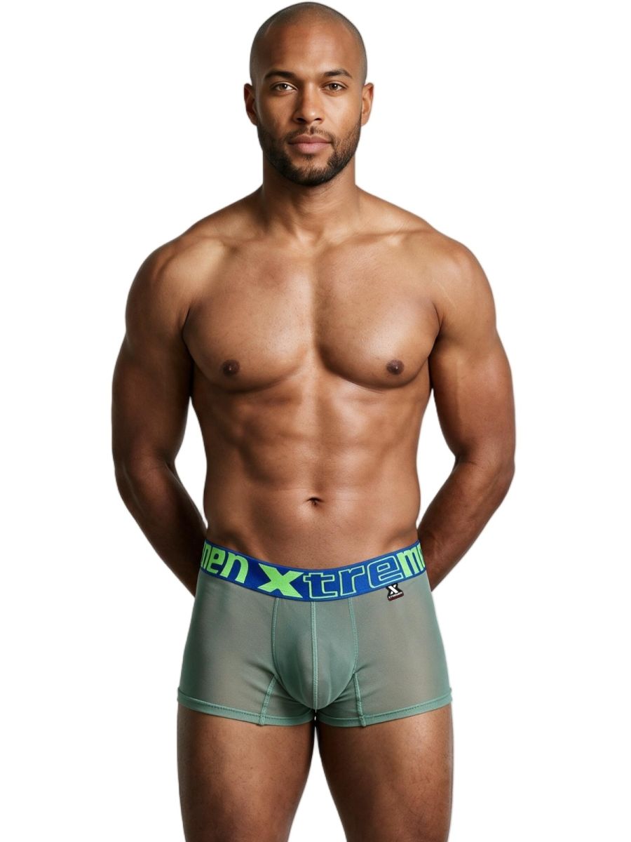 Xtremen Microfiber Mesh Boxer Brief 91277