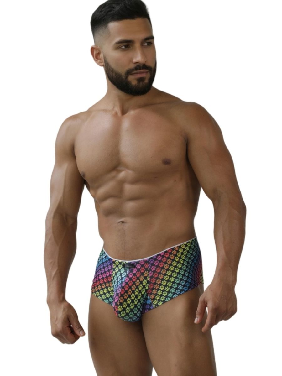 CityBoyz USA Xtremen Rainbow Printed Microfiber Brief with paw print design, featuring vibrant rainbow colors and comfortable fit.