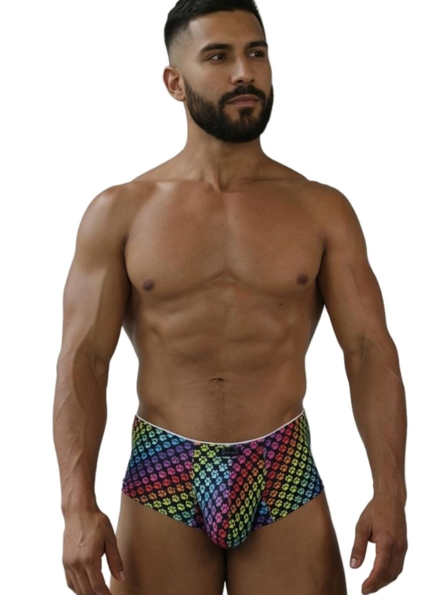 CityBoyz USA Xtremen Rainbow Printed Microfiber Brief with pawprint design, showcasing vibrant rainbow colors and comfortable fit.