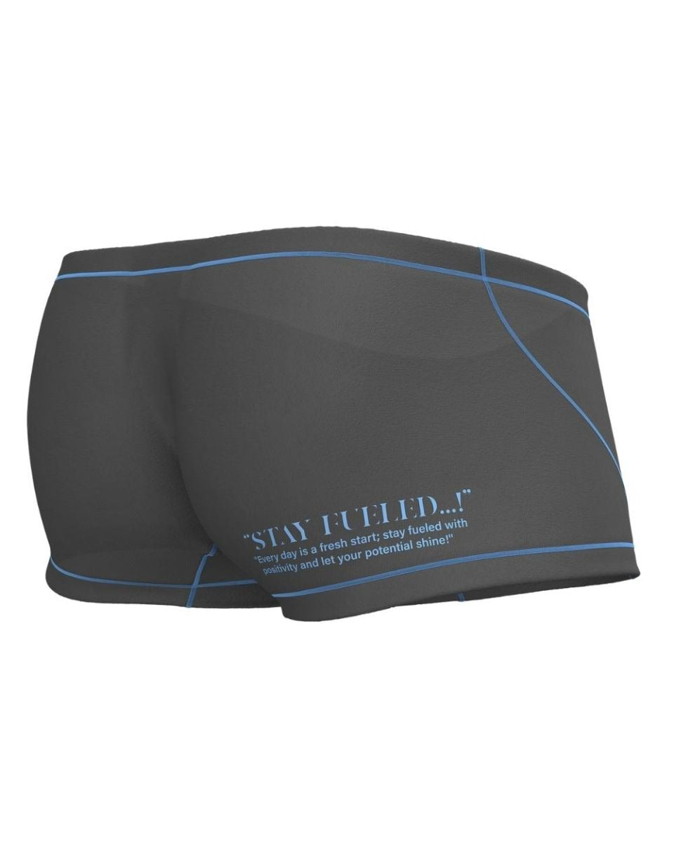 Gray CITYBOYZ★USA Private Structure Prime Elysian Hipster trunk underwear with a snug fit and stylish design.