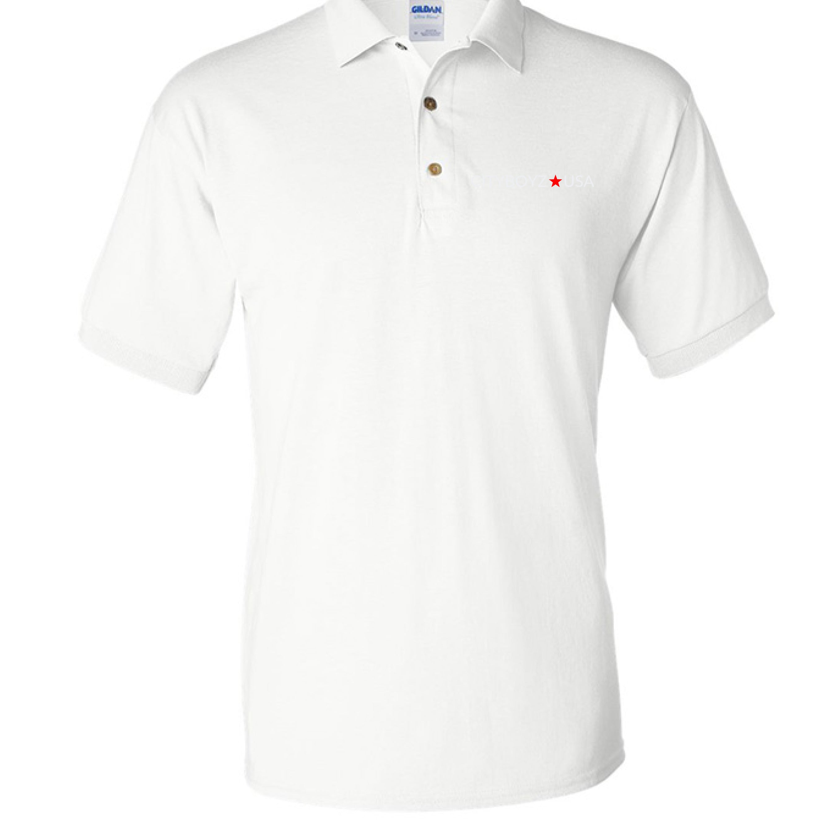 CityBOYZ USA Logo Polo shirt showing the front design and branding on a casual men's shirt.