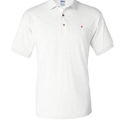 CityBOYZ USA Logo Polo shirt, front view showing the embroidered logo on the chest and classic collar design.