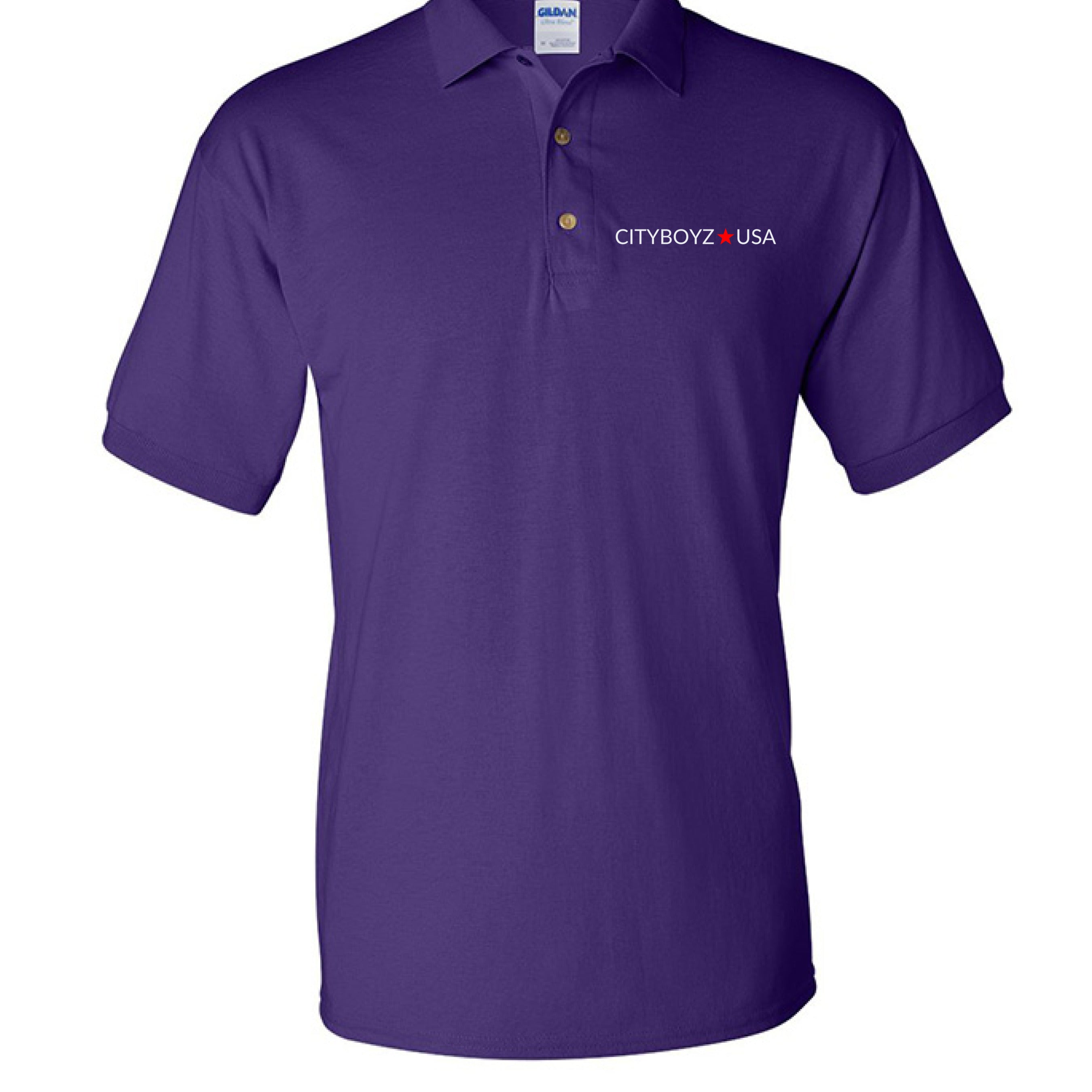 CityBOYZ USA Logo Polo shirt with a classic collar and embroidered logo, displayed on a mannequin.