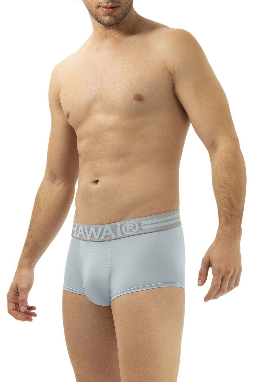 Hawai Microfiber Brief 41961 Underwear- CITYBOYZ★USA