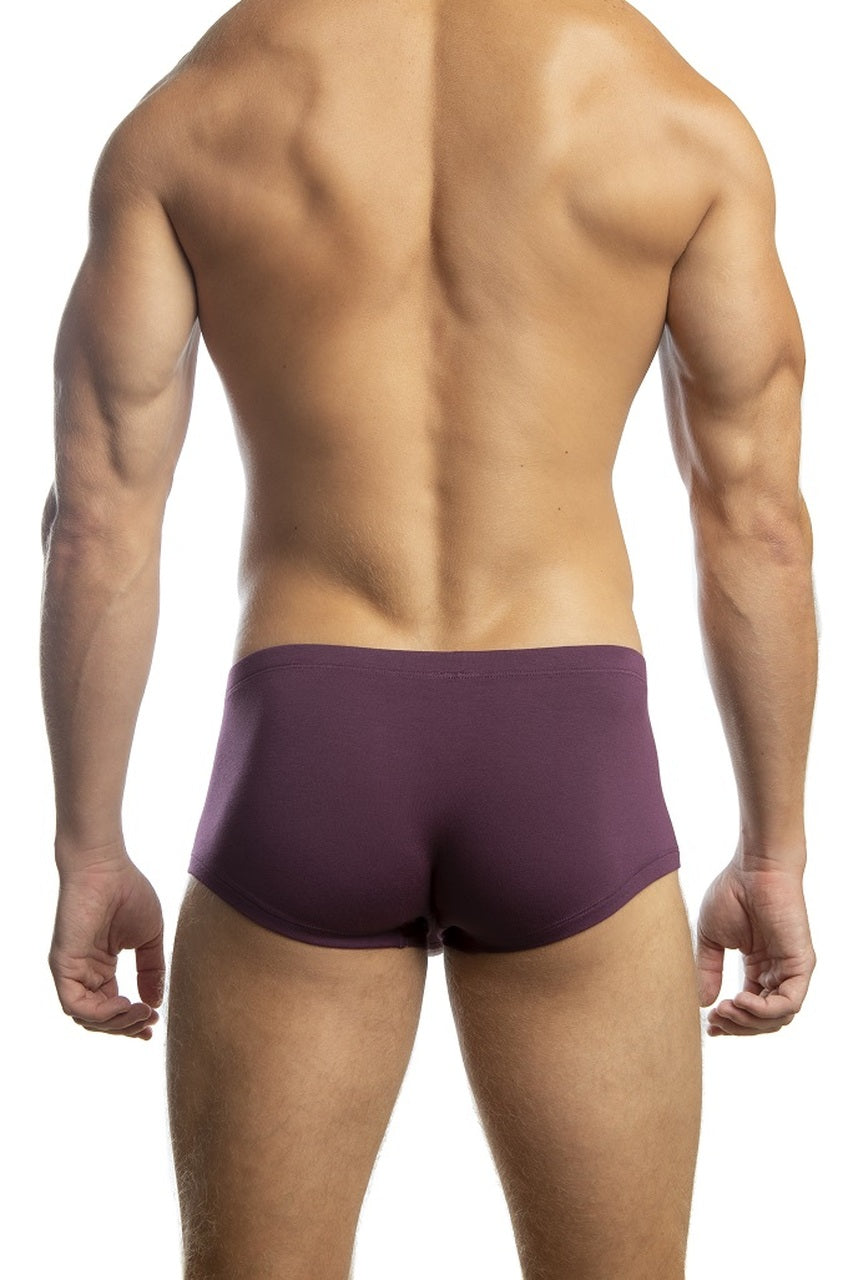 CITYBOYZ★USA Jack Adams Streamlined modal bikini boxer underwear in beetroot color, showing back view and comfortable fit.